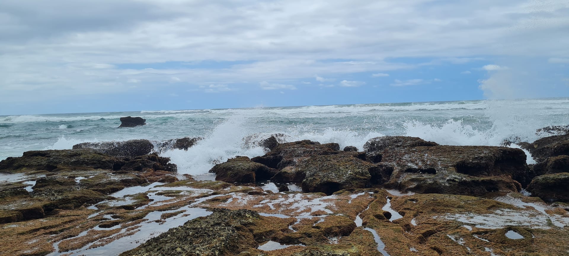 Discover Our Beaches